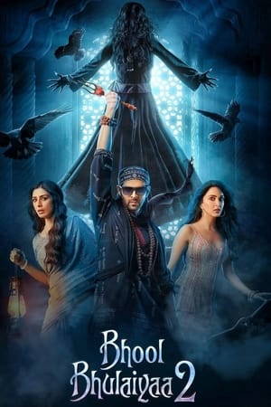 Bhool Bhulaiyaa 2 2022 Hindi Movie – 480p