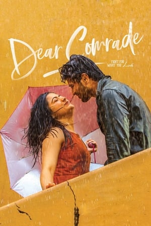 Dear Comrade 2019 (Hindi -Telugu) Dual Audio [1.4GB]