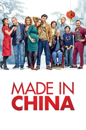 Made in China (2019) Hindi Movie [930MB]