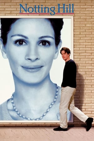 Notting Hill 1999 Hindi Dual Audio 380MB