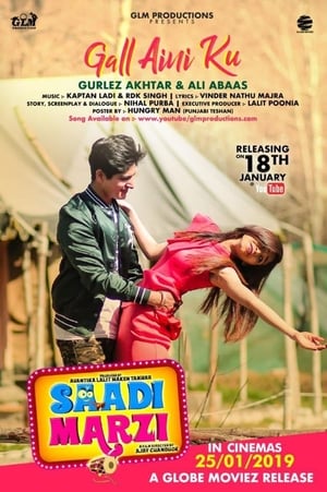 Saadi Marzi (2019) Punjabi Movie [930MB]