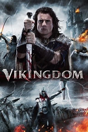 Vikingdom 2013 Hindi Dual Audio [1GB]